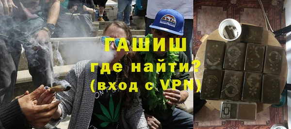 шишки Ленск