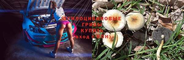 шишки Ленск