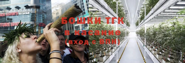 твердый Лиски