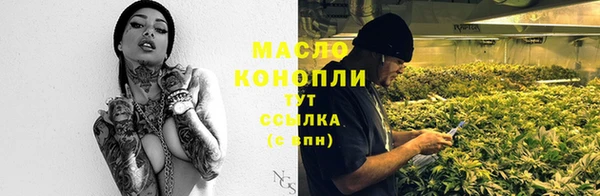 соль ск Лагань