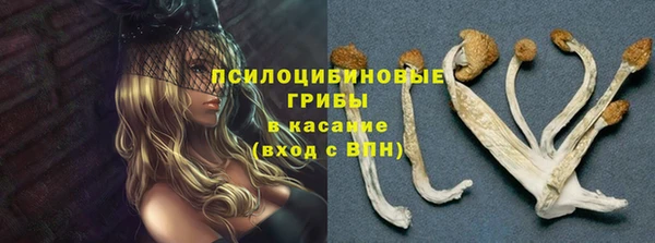 мдпв Ленинск-Кузнецкий