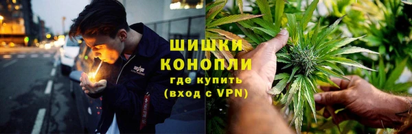 мдпв Ленинск-Кузнецкий