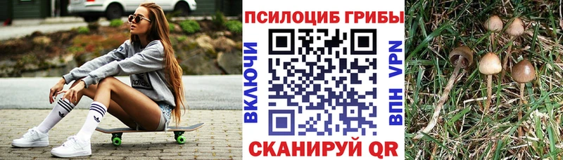 как найти   Мелеуз  Галлюциногенные грибы Cubensis 